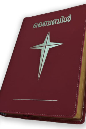 Bible ബൈബിള്‍ Gift Edition - Golden Edge - Large