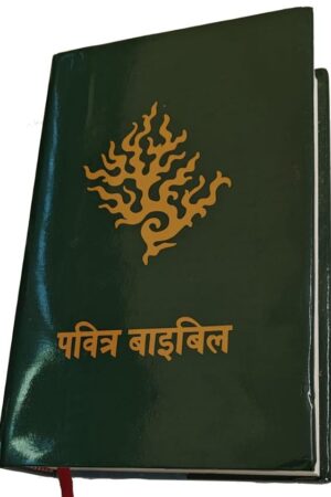 Pavithra Bible Holy Bible Hindi